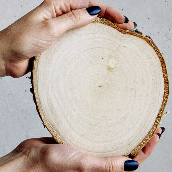 Holz Baumscheibe  15 - 20 cm geschliffen 2 cm dick