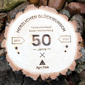 Baumscheiben 3er-Set Holzdekoration Ø 15 - 20 cm