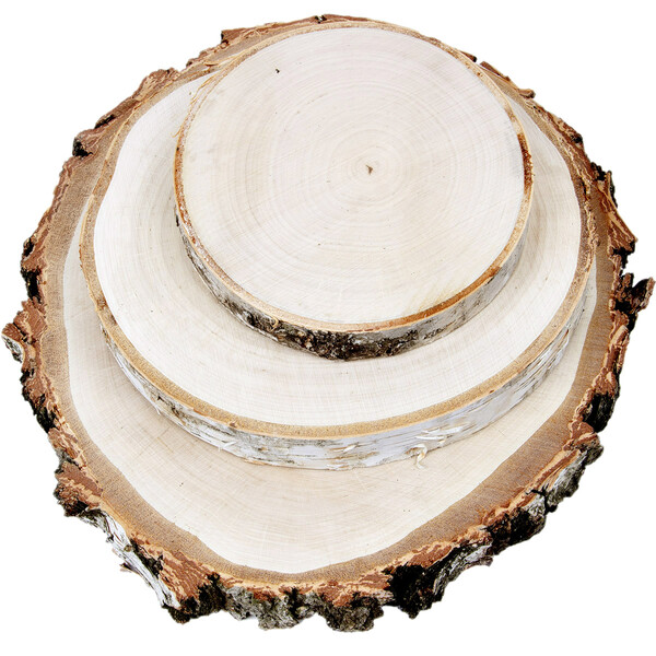Baumscheiben 3er-Set, Birkenscheiben  15 bis 35 cm geschliffen Holzscheiben