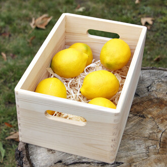 Aufbewahrungsbox mit Griffe