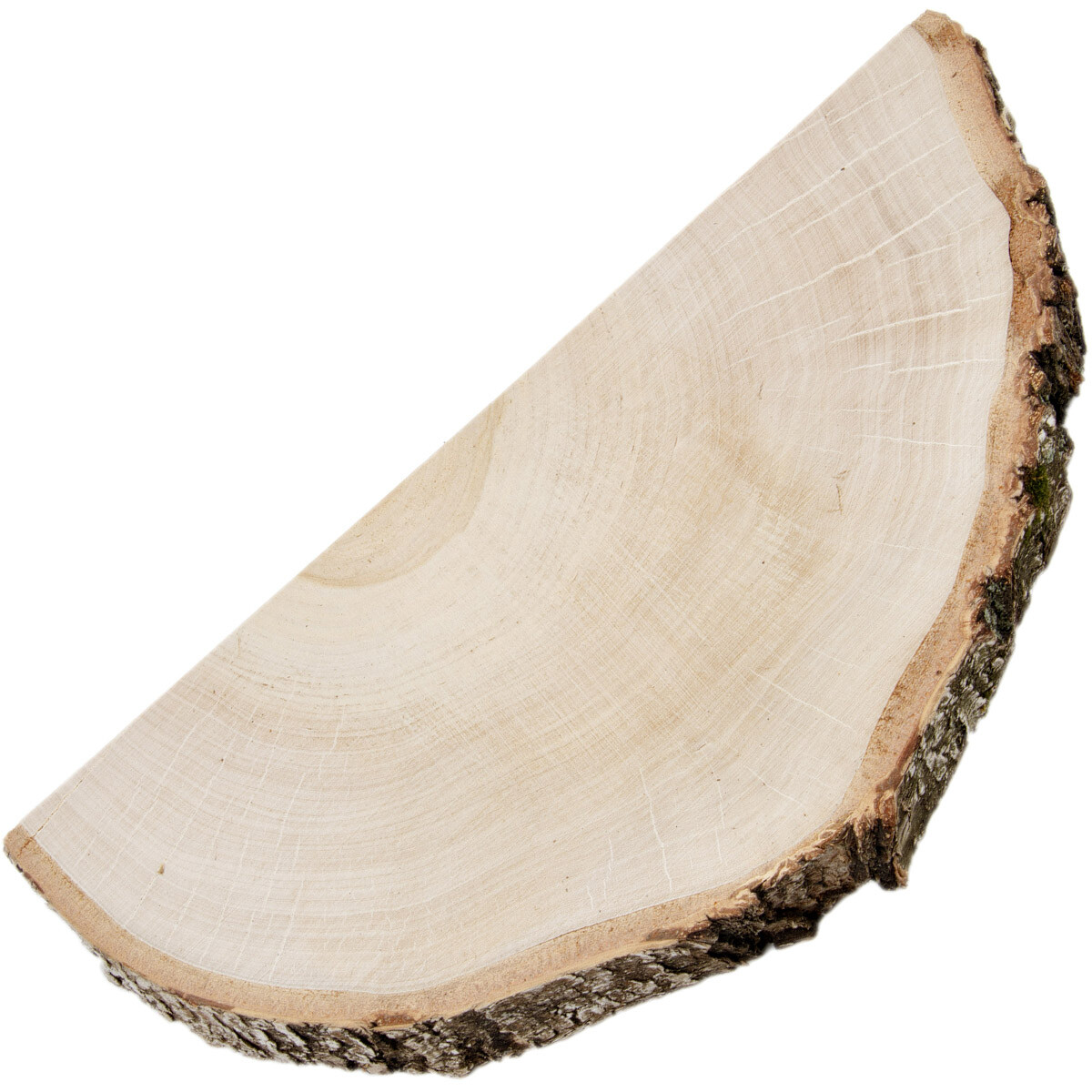 Holzscheibe teilweise ohne Rinde Eiche 35 x 3 cm Baumscheibe 
