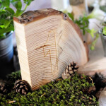 dicke 3,5 cm starke Holzscheibe als Viertel