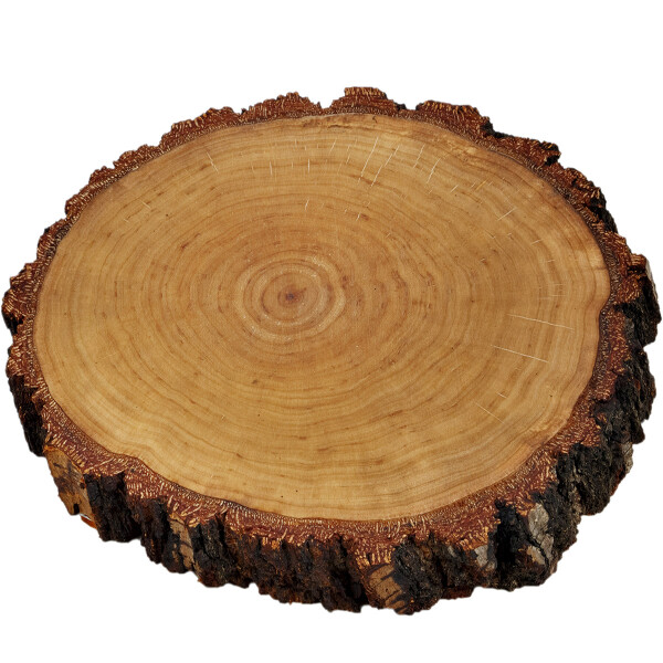 Rindenbrett Ø 20 - 22 cm, geölte Baumscheibe zur Hochzeit