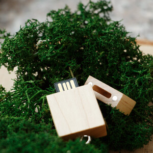 Holz USB-Stick 2.0 TOSHIBA 15 GB