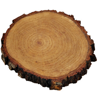 Holzscheibe Ø 20 - 25 cm geölt Holzscheibe Ø 20 - 25 cm geölt